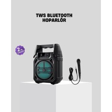 Erdo Ticaret 6.5 Inç Bluetooth Hoparlör Mikrofonlu Taşınabilir Karaoke ve Parti Sistemi