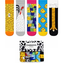 Carnaval Socks 5\\\'li Civciv & Kedi Desenli Çorap Koleksiyonu  / Özel Tasarım Premium Kutulu Çorap Seti