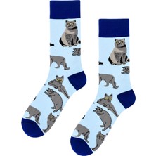 Carnaval Socks British Kedi Desenli Mavi Soket Çorap