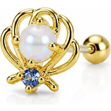 Nur Silver Istiridye Çelik Tragus Küpe NUR-KE03358