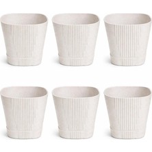 Hep İndirimli Zambak Dekoratif Plastik Saksı 5.6 Lt No:4 Kirli Beyaz 6 Adet