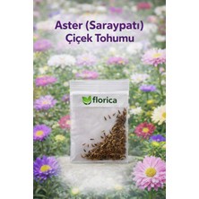 Florica-30 Adet Karışık Aster Çiçek Tohumu –saraypatı Çiçeği Tohumu Renkli Mezarlık ve Bahçe Için