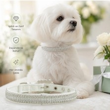 Pawde Luxe Ayarlanabilir Toka ile Su Yolu Taşlı Köpek Tasması - Beyaz