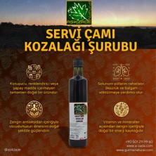 Aşıkzade Çam Kozalağı Şurubu 500ml