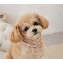 Pawde Luxe Kristal Taşlı Küçük Köpek Tasması - Suni Deri - Pembe Inci Tasma