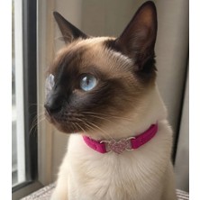Pawde Luxe Kalp Şeklinde Luks Tasarımlı Kedi ve Küçük Köpek Tasması - 28 cm