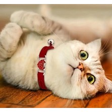 Pawde Luxe Kalp Şeklinde Luks Tasarımlı Kedi ve Küçük Köpek Tasması - 28 cm