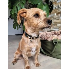 Pawde Luxe Yüksek Kaliteli Suni Deri Kalp Şeklinde Köpek Tasması -Rhinestone