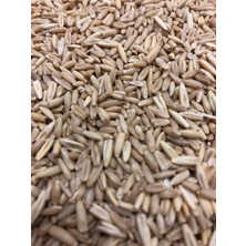 Tasarım Kuşevi Vivid Soyulmuş İç Yulaf Yemi 1kg Kafes Kuşları İçin Taze ve Elenmiş Muhabbet Yemleri