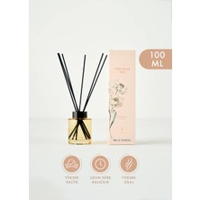 Bella Maison Amberwood Trail Oda Kokusu Sarı 100 Ml Uzun Süre Kalıcılık ve Yüksek Kalite