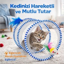 Pativita DG-2505 Spıral Tünel