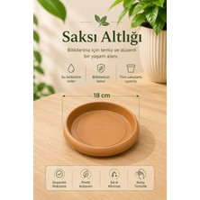 Veniv 18 cm Saksı Altlığı – Şık ve Pratik Çözüm