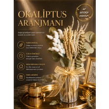 Nc Design Şoklanmış Okaliptus