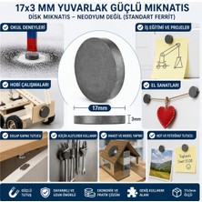 İyisi Var Mıknatıs 17X3 mm Yuvarlak Güçlü Mıknatıs Disk Mıknatıs
