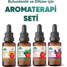 Arifoğlu Aromaterapi 4'lü Uçucu Yağ Seti | Portakal Lavanta Okaliptus Nane Yağı | Buhurdanlık Difüzör Için %100 Saf Bitkisel Esansiyel Yağ Seti 4X20 ml