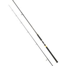 Daiwa Legalıs Shore Jıggıng 2025 3,05M 60-120GR Olta Kamışı