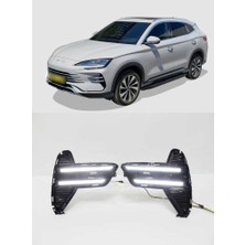 Karva Byd Seal U-Dmı Için Sis Ledi