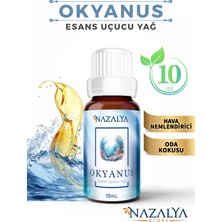 Nazalya Okyanus Esans Uçucu Oda Koku Yağı 10 ml Hava Nemlendiriciler İçin Özel Esans