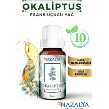 Nazalya Uçucu Oda Koku Yağı Esansiyeli Okaliptus 10 ml Hava Nemlendiriciler İçin Aromalı Esans