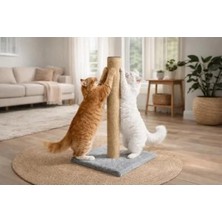 Die Grup 50 cm Kedi Tırmalama Tahtası, Stabil Tabanlı ve Dayanıklı