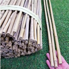 Empressco Bambu Bitki Destek Çubuğu 180 Cm, 5 Adet, Sağlam ve Dayanıklı Bahçe Malzemesi