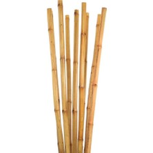 Fidancı 10 Adet Bambu Destek Çubuğu 100 cm