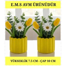 E.M.S Sarı Renk Çubuk Desen Saksı Sukulent Saksısı Menekşe Saksısı Dekoratif Saksı 7,5 x 10 Cm.