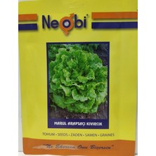 Cegel Ziraat Neobi Marul Arapsaçı Kıvırcık 10gr
