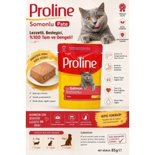 Proline Pouch Pate Somonlu Yaş Kedi Maması 85 gr