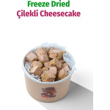 ÇITLAT ÇEREZ SHOP Freeze Dried Çilekli Cheesecake – Kurutulmuş Çıtır Cheesecake Küpleri, Tatlı Küpleri Atıştırmalık