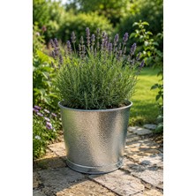 Naturel Metal Galvaniz Metal Saksı Iç ve Dış Mekan Küçük Boy ---28 cm Çap, 24 cm Yükseklik,15 Lt, Iç ve Dış Mekan