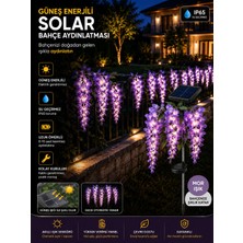 Zigver Bahce Isık Güneş Enerjili Solar Mor Salkım Wisteria
