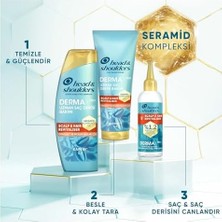 & Shoulders Dermaxpro Scalp & Hair Revitaliser Dökülme Karşıtı Saç ve Saç Derisi Bakım Kremi Kafein ve Seramid ile 220ML