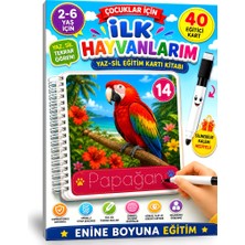 Enine Boyuna Eğitim Çocuklar Için Ilk Hayvanlarım Kartlar Kitabı
