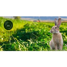 Polybotum Poly Kemirgen Doğal Kuru Yonca Kemirgen Otu-Tavşan-Ginepig-Hamster 1000 gr