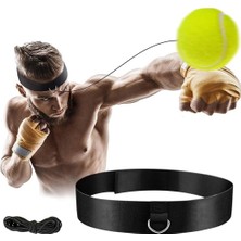 The Wellness Store Kick Box Boks Kafa Refleks Hız Topu