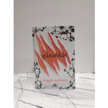 Pegasus Ürperti Serisi Takım Set (4 Kitap Ürperti, Beklenti, Ebedi, Günahkar) ( 2. El Kitap )