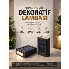 Asil Sepet Asiltech Bahçe Aydınlatması Solar Güneş Enerjili Dekoratik LED Işıklı Lamba