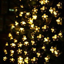 Aslanoğlu Store Solar 5m 50 LED Papatya Gün Işığı 8 Fonksiyonlu