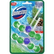 Domestos Wc Blok 5' Güç Çam Ferahlığı 600 Sifona Kadar Güçlü Temizlik 110 gr Ikili