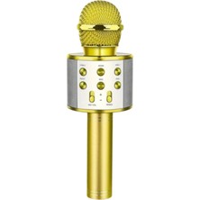 Regnum Monadm Kablosuz Karaoke Mikrafon Bluetooth Mp3 Çalar Sd-Usb-Aux Girişli