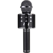 Regnum Monadm Kablosuz Karaoke Mikrafon Bluetooth Mp3 Çalar Sd-Usb-Aux Girişli
