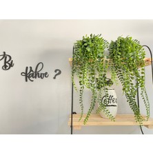 NEVVALİFE Yuvarlak Saksıda Salkım Telgraf Çiçeği, Mini Yuvarlak Saksıda Taş Dolgulu Dekoratif Yapay Bitki, Ev, Ofis, Çalışma Masası Için Estetik Modern Masaüstü Süsü