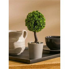 NEVVALİFE Yuvarlak Saksıda Çam Çiçeği, Mini Yuvarlak Saksıda Taş Dolgulu Dekoratif Yapay Bitki, Ev, Ofis, Çalışma Masası Için Estetik Modern Masaüstü Süsü