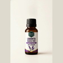 Kent Bahçesi Lavanta Uçucu Yağı 10 ml - Difüzör Buhurdanlık Yağı