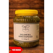 A La Gea Damarsız Alaşehir Asma Yaprağı Yeni Mahsül 1400 Gr.