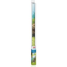 Juwel Poster1 Plant/reef - S Arka Fon 60X30CM