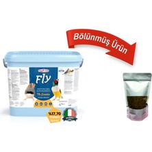 Raggio Di Sole Fly Exotic Premium Kurtlu Hafif Nemli Mama