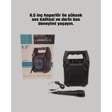 Nemere Taşınabilir 6.5” Bluetooth Hoparlör USB Tf Kart Mikrofonlu Şarjlı Sistem
