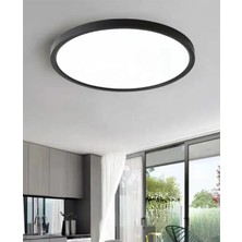 Empressco Antrasit Kasa 24W Büyük Boy Tavana Sıfır LED Aplik Avize, Beyaz Işık